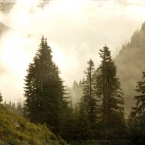 Foggy Mountain