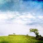 Flint HIlls in Kansas