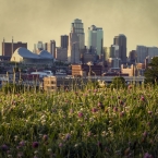 Penn Valley Park - Skyline & Clover