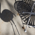 Flamingo Shadow