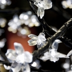 Kansas City River Market - Flower Lights