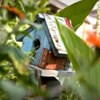 KC River Market