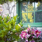Window Reflecctions - Buchart Gardens