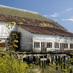 Deserted Building in Stevestown (Vancouver)