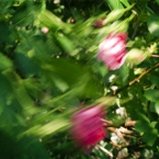 Windy Day