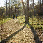 Parkville Nature Sanctuary