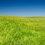 Fence on the Kansas Konza Prairie