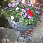 2011_05_26 Front porch flowers