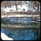 KC Loose Park Bridge in Winter