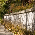 Shadows on a Stone Wall